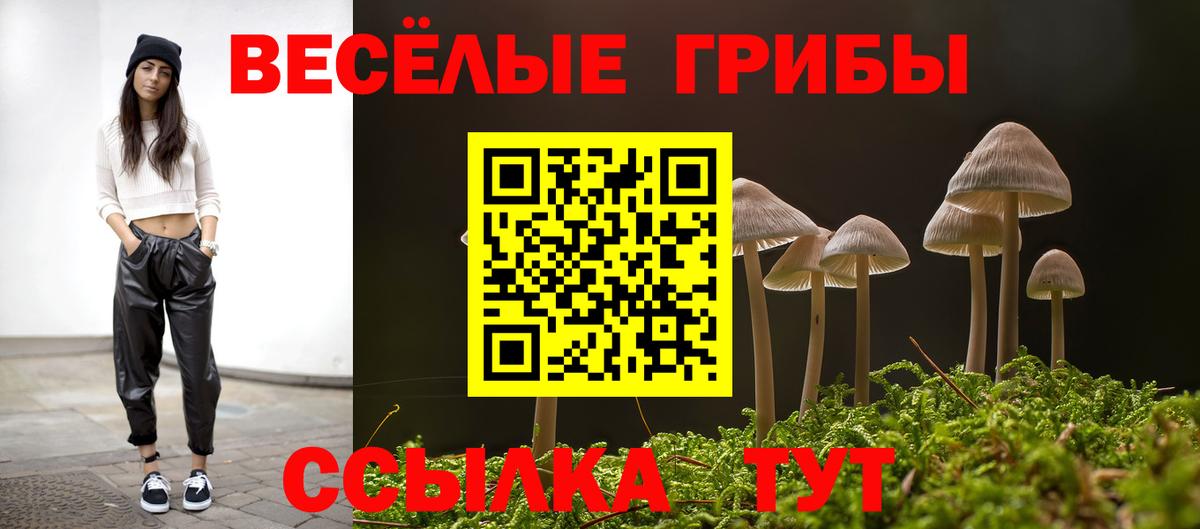Лсд 25 Сургут